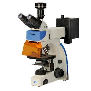 Люминесцентный микроскоп IF-302 цифров Trinocular