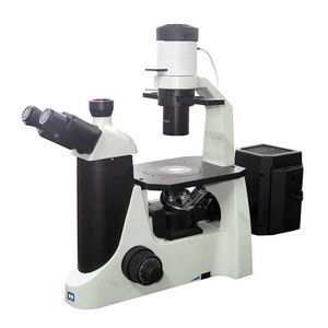 СИД Trinocular перевернуло люминесцентный микроскоп с цветной камерой CCD
