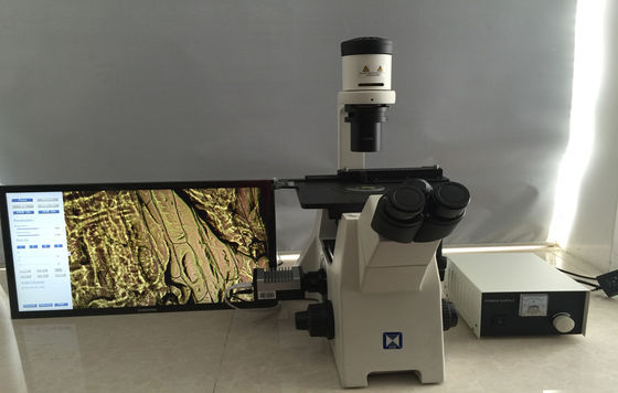Trinocular перевернуло биологический микроскоп для культуры клетки исследования