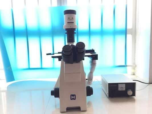 Trinocular перевернуло биологический микроскоп для культуры клетки исследования