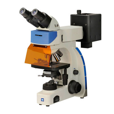 Бинокулярный чистосердечный люминесцентный микроскоп IF-202